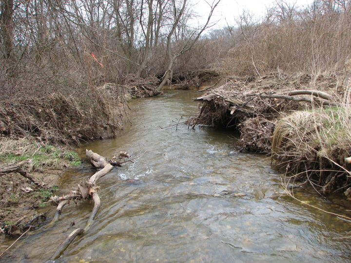 Field photo showing stream conditions at site LIBE-206-A-2007-1