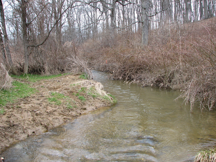 Field photo showing stream conditions at site LIBE-206-A-2007-2