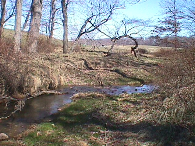 Field photo showing stream conditions at site LIBE-207-R-2000-03_01