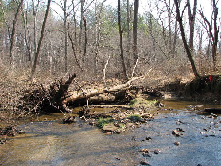 Field photo showing stream conditions at site LIBE-209-A-2007-2