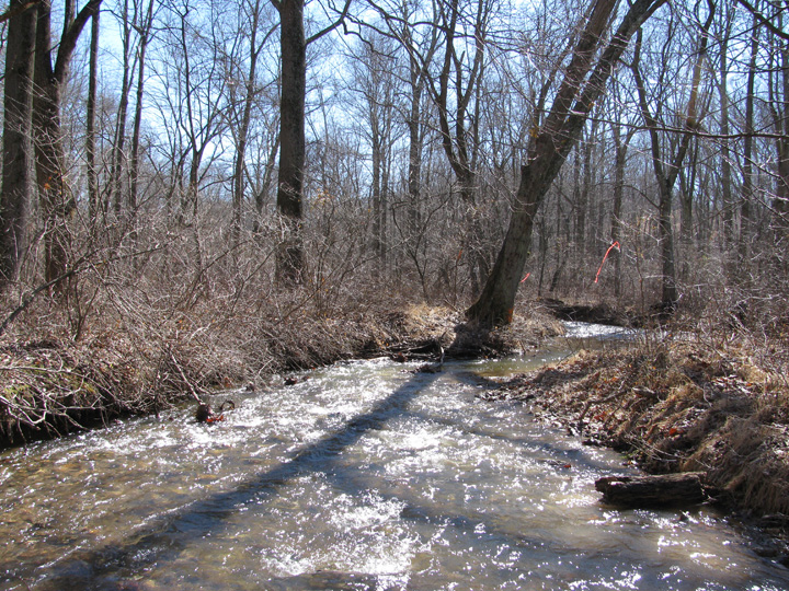 Field photo showing stream conditions at site LIBE-209-A-2011-1