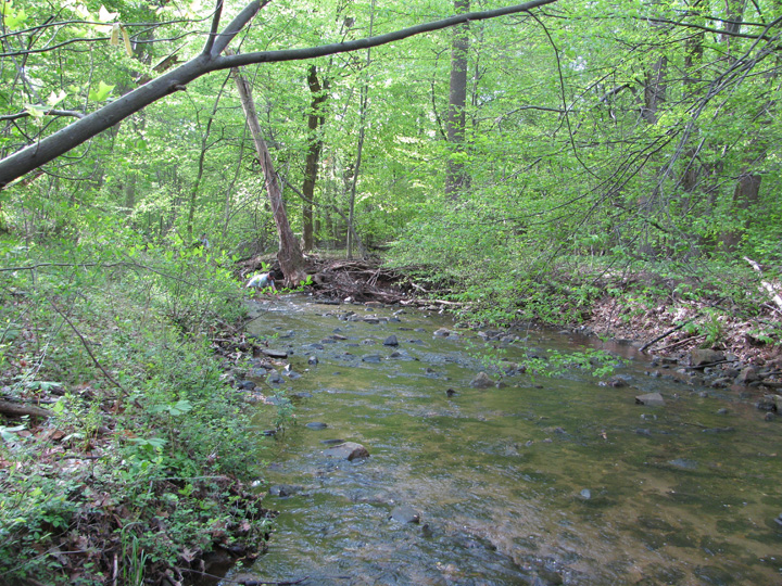 Field photo showing stream conditions at site LIBE-209-A-2011-2