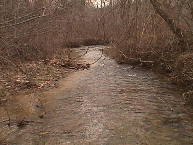 Field photo showing stream conditions at site LIBE-209-R-2000-01_06