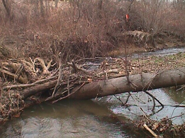 Field photo showing stream conditions at site LIBE-209-R-2000-01_07