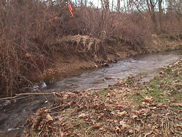 Field photo showing stream conditions at site LIBE-209-R-2000-01_08