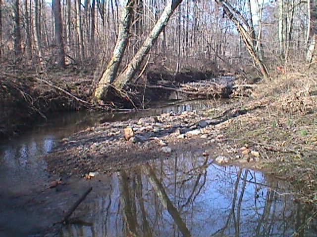 Field photo showing stream conditions at site LIBE-212-R-2000-02_12