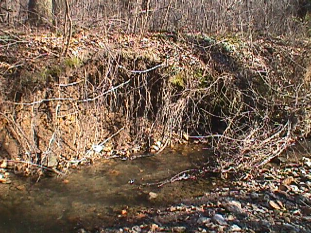 Field photo showing stream conditions at site LIBE-212-R-2000-02_13