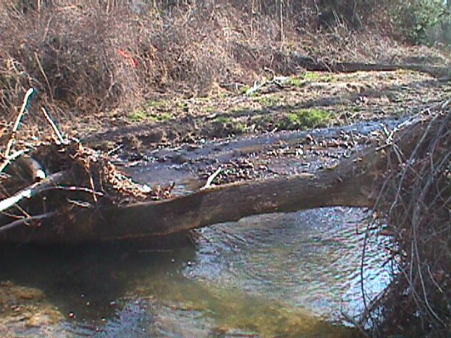 Field photo showing stream conditions at site LIBE-212-R-2000-02_14