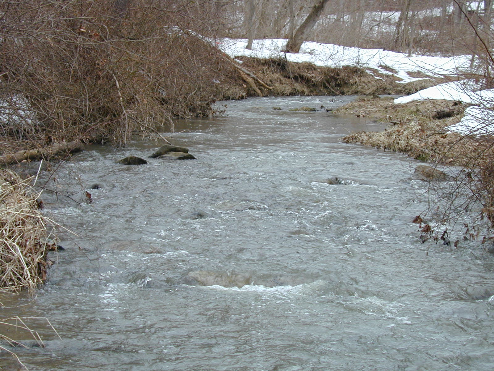 Field photo showing stream conditions at site LIBE-214-R-2003-630
