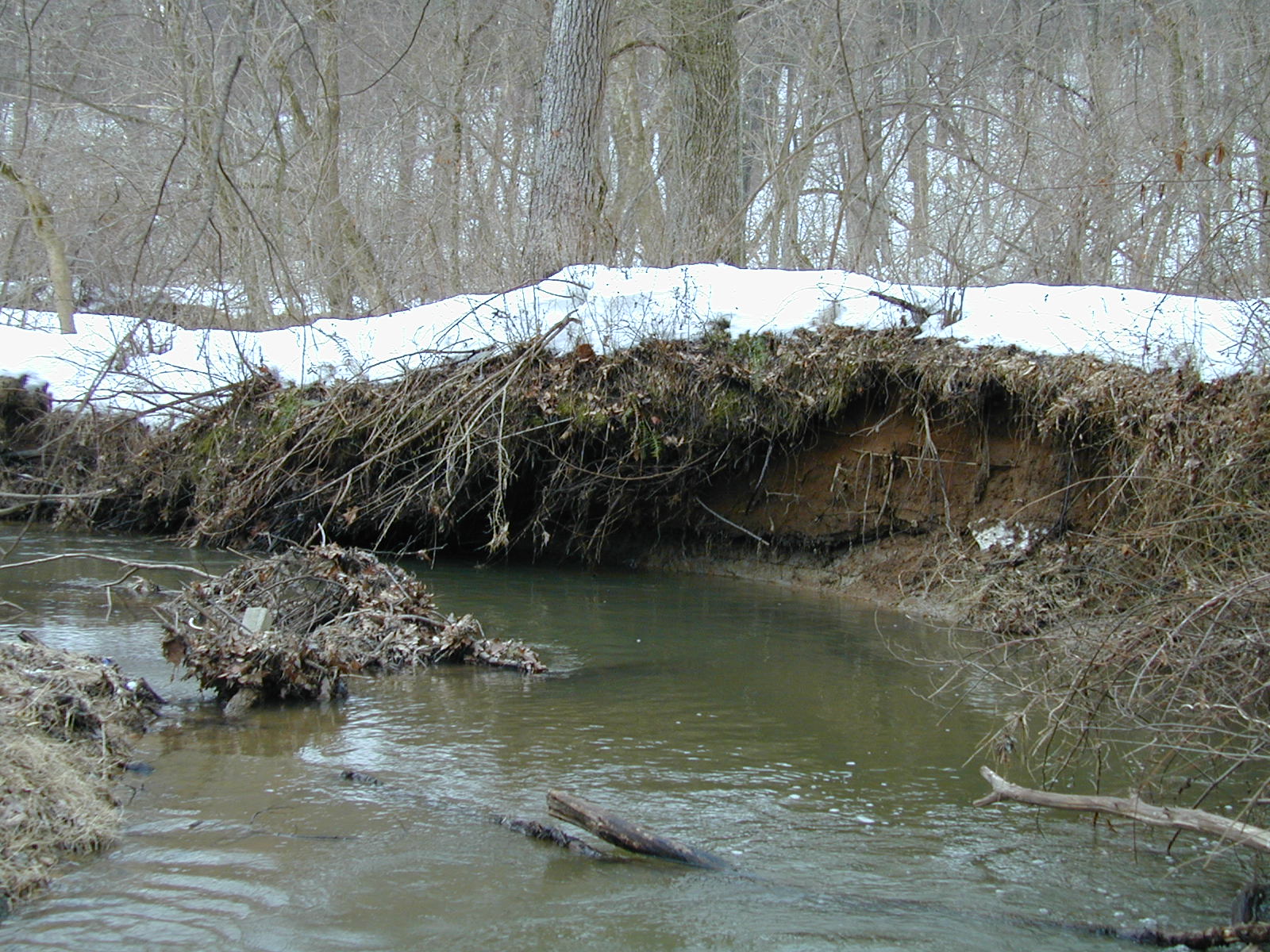 Field photo showing stream conditions at site LIBE-214-R-2003-640