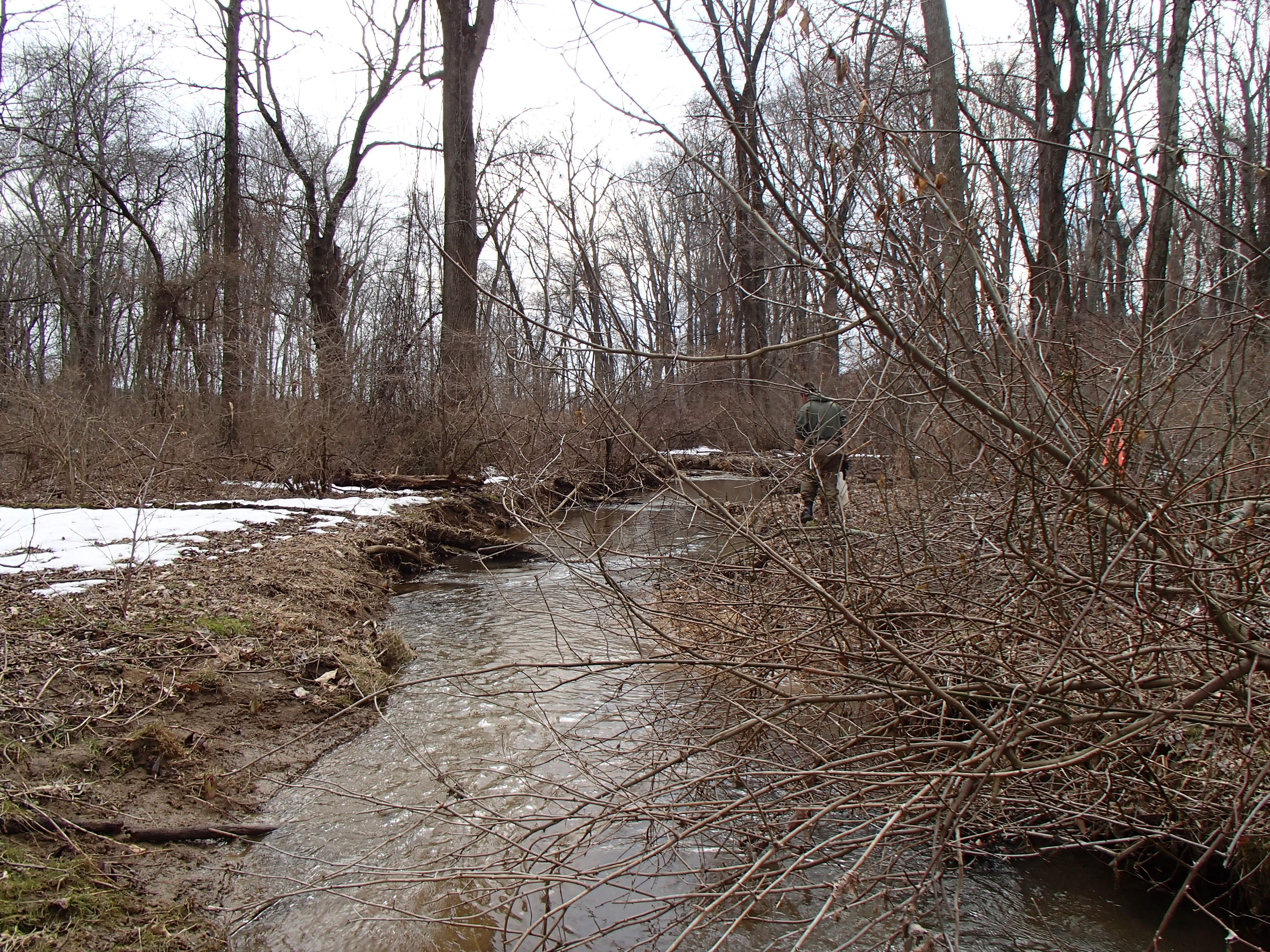 Field photo showing stream conditions at site LIBE-216-R-2014-1