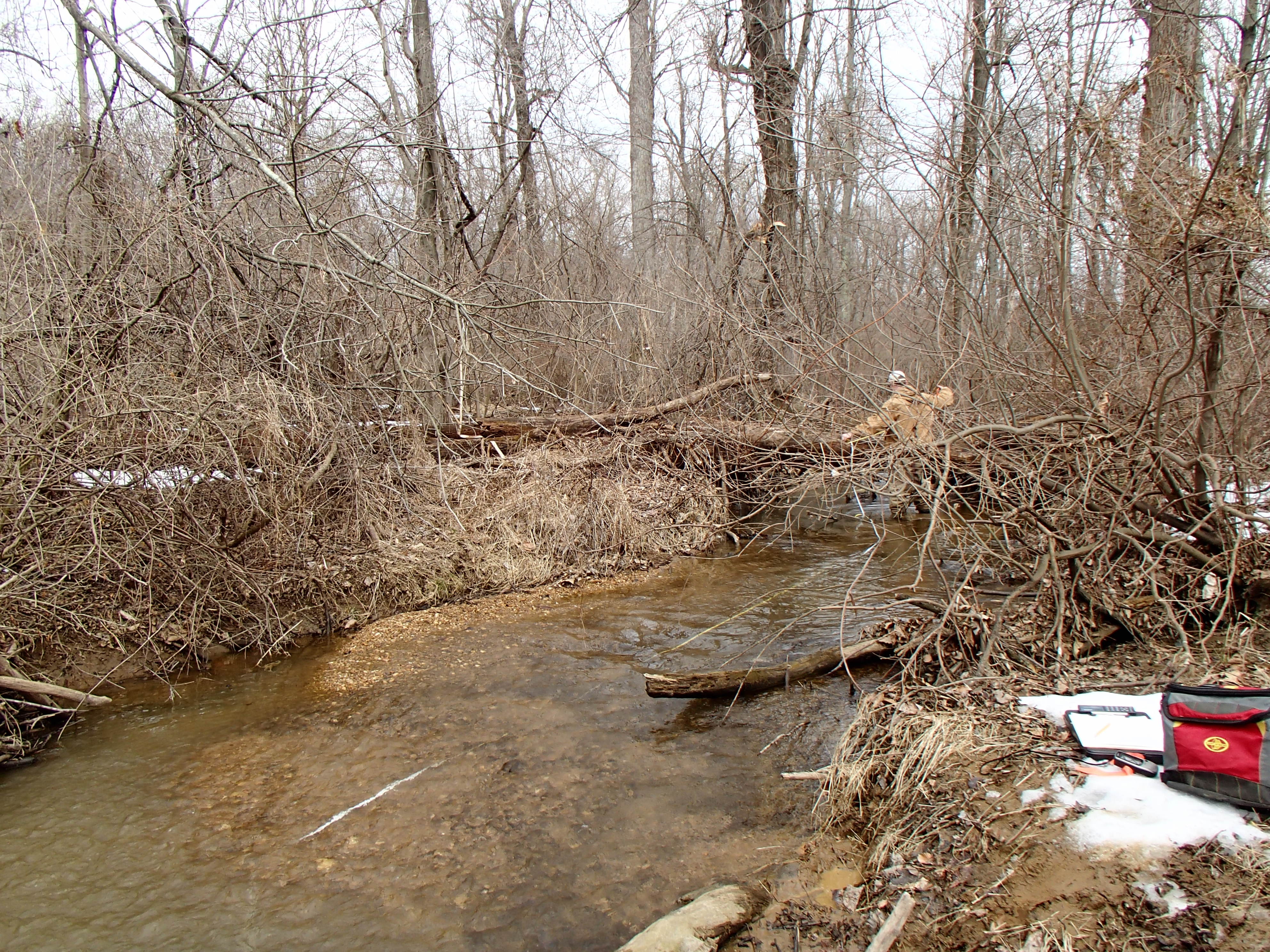 Field photo showing stream conditions at site LIBE-216-R-2014-2