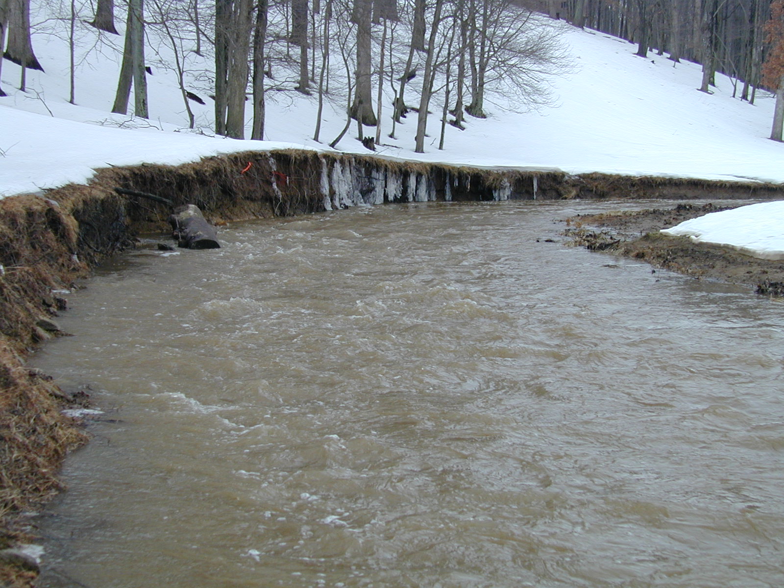 Field photo showing stream conditions at site LIBE-218-R-2003-649