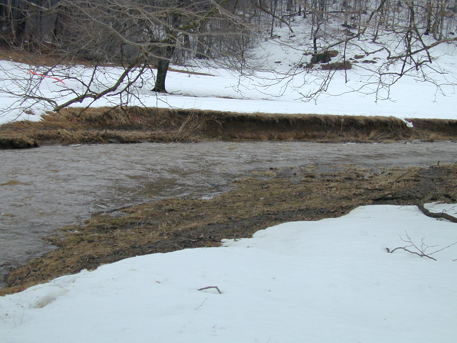Field photo showing stream conditions at site LIBE-218-R-2003-650