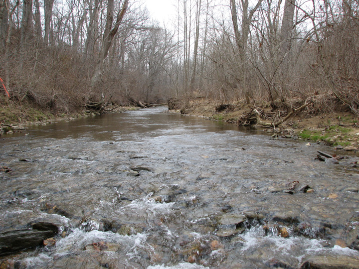 Field photo showing stream conditions at site LIBE-251-A-2007-2