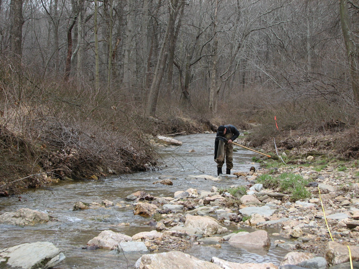 Field photo showing stream conditions at site LIBE-262-A-2007-1