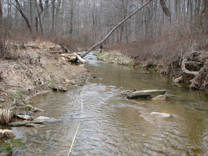 Field photo showing stream conditions at site LIBE-262-A-2007-2