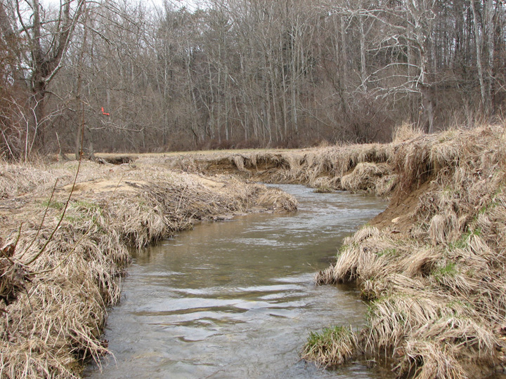 Field photo showing stream conditions at site LIBE-266-A-2007-1