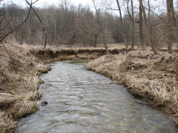 Field photo showing stream conditions at site LIBE-266-A-2007-2