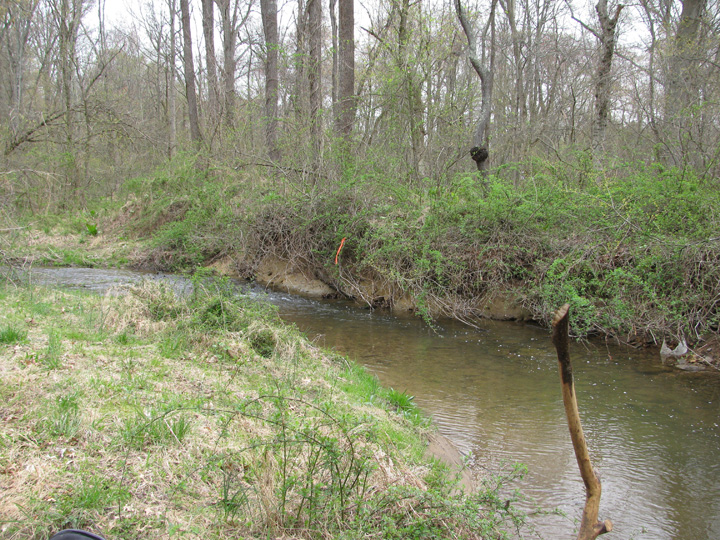Field photo showing stream conditions at site LIBE-293-X-2011-1