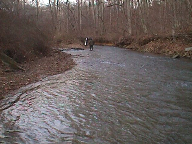 Field photo showing stream conditions at site LIBE-303-R-2000-01_01