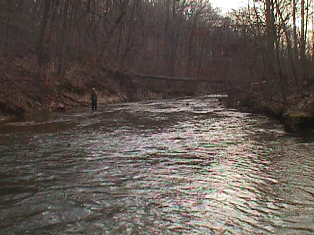 Field photo showing stream conditions at site LIBE-303-R-2000-01_02