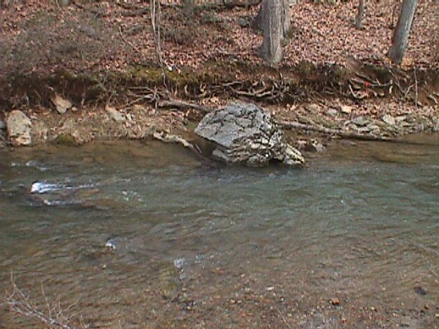 Field photo showing stream conditions at site LIBE-303-R-2000-01_03
