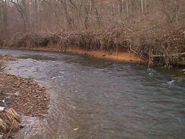 Field photo showing stream conditions at site LIBE-303-R-2000-01_05