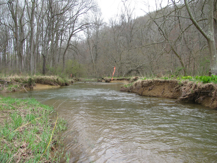 Field photo showing stream conditions at site LIBE-318-A-2011-1