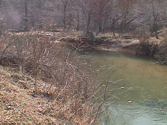 Field photo showing stream conditions at site LIBE-318-R-2000-01_18