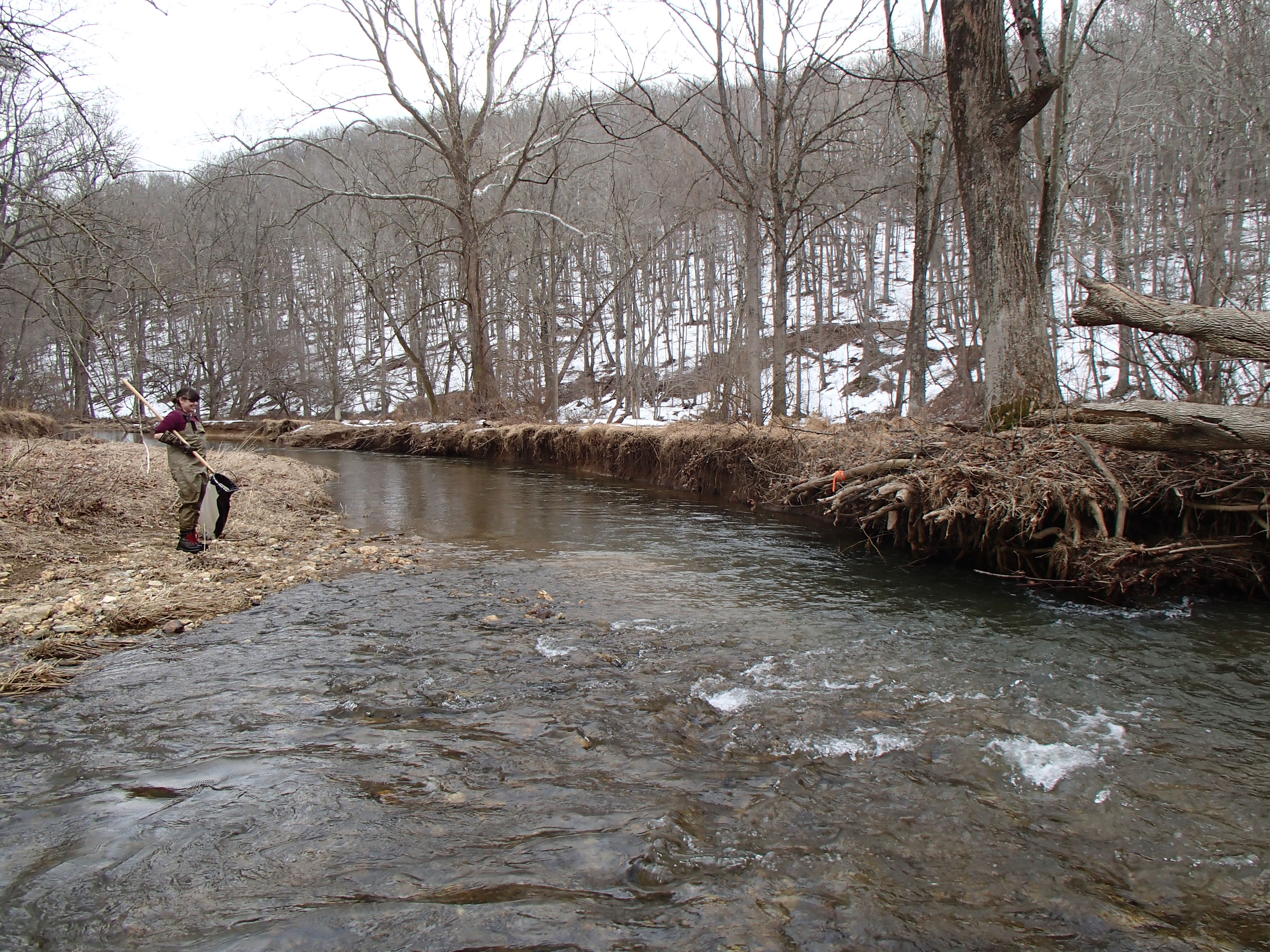 Field photo showing stream conditions at site LIBE-318-R-2014-2