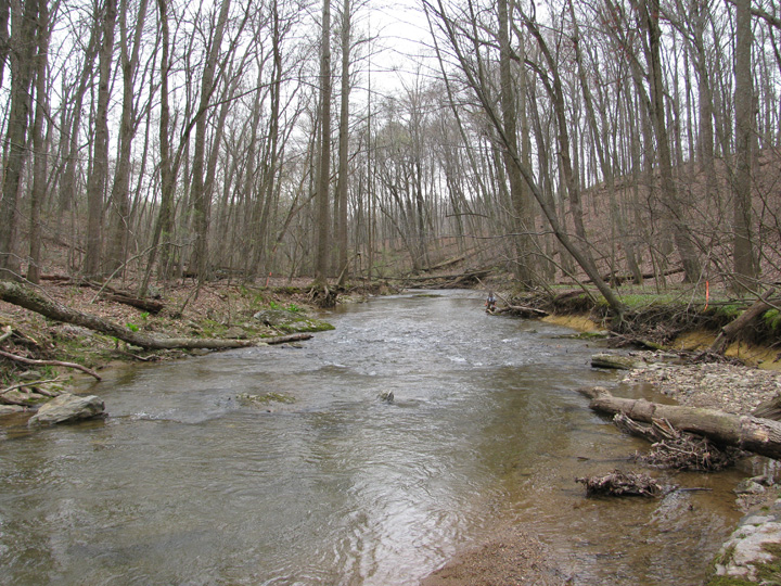 Field photo showing stream conditions at site LIBE-323-A-2011-1