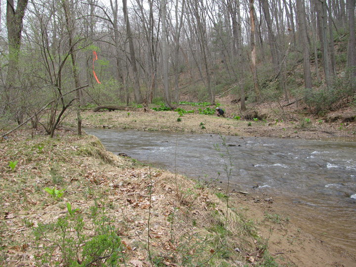 Field photo showing stream conditions at site LIBE-323-A-2011-2