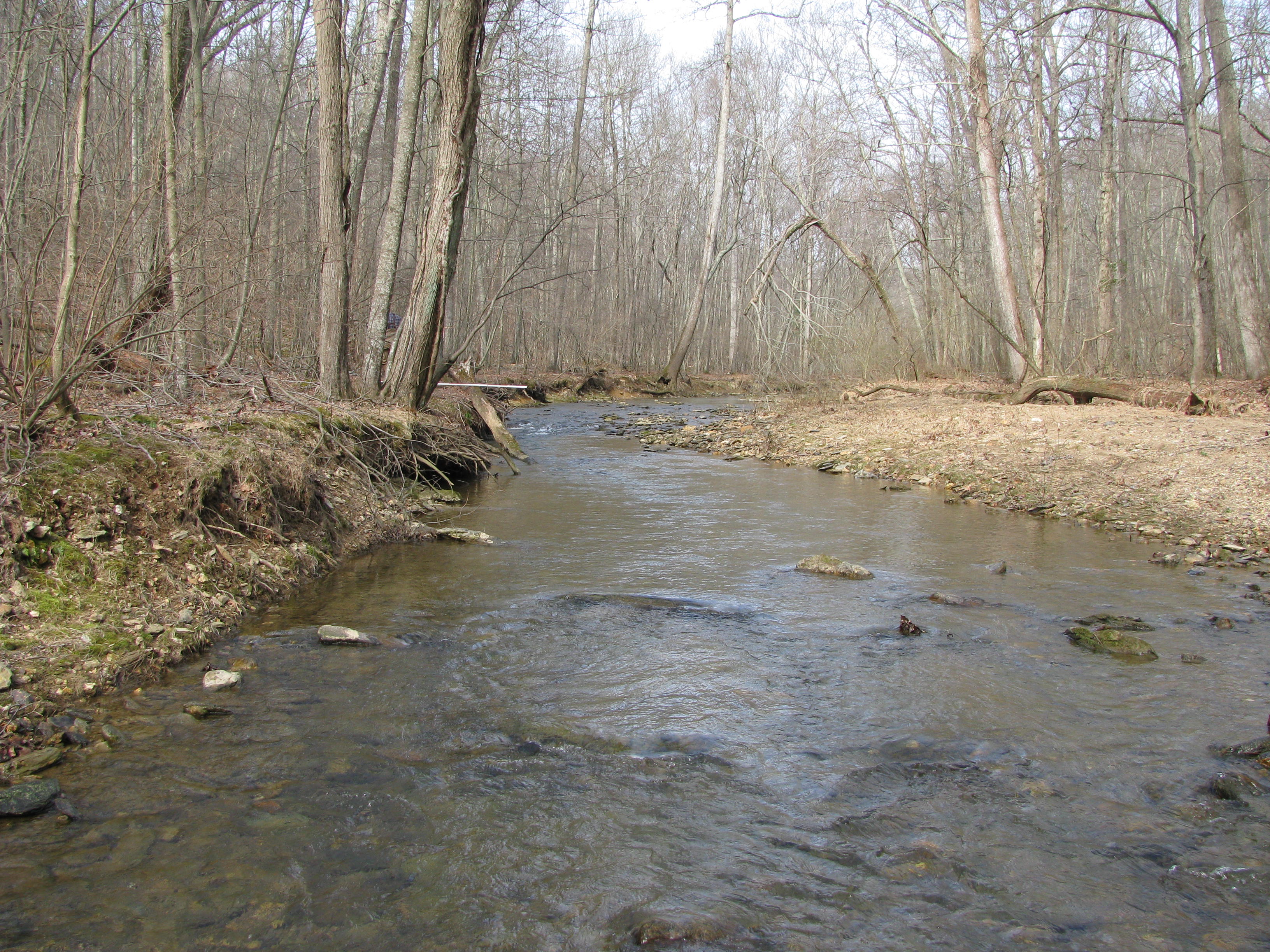 Field photo showing stream conditions at site LIBE-324-A-2012-1