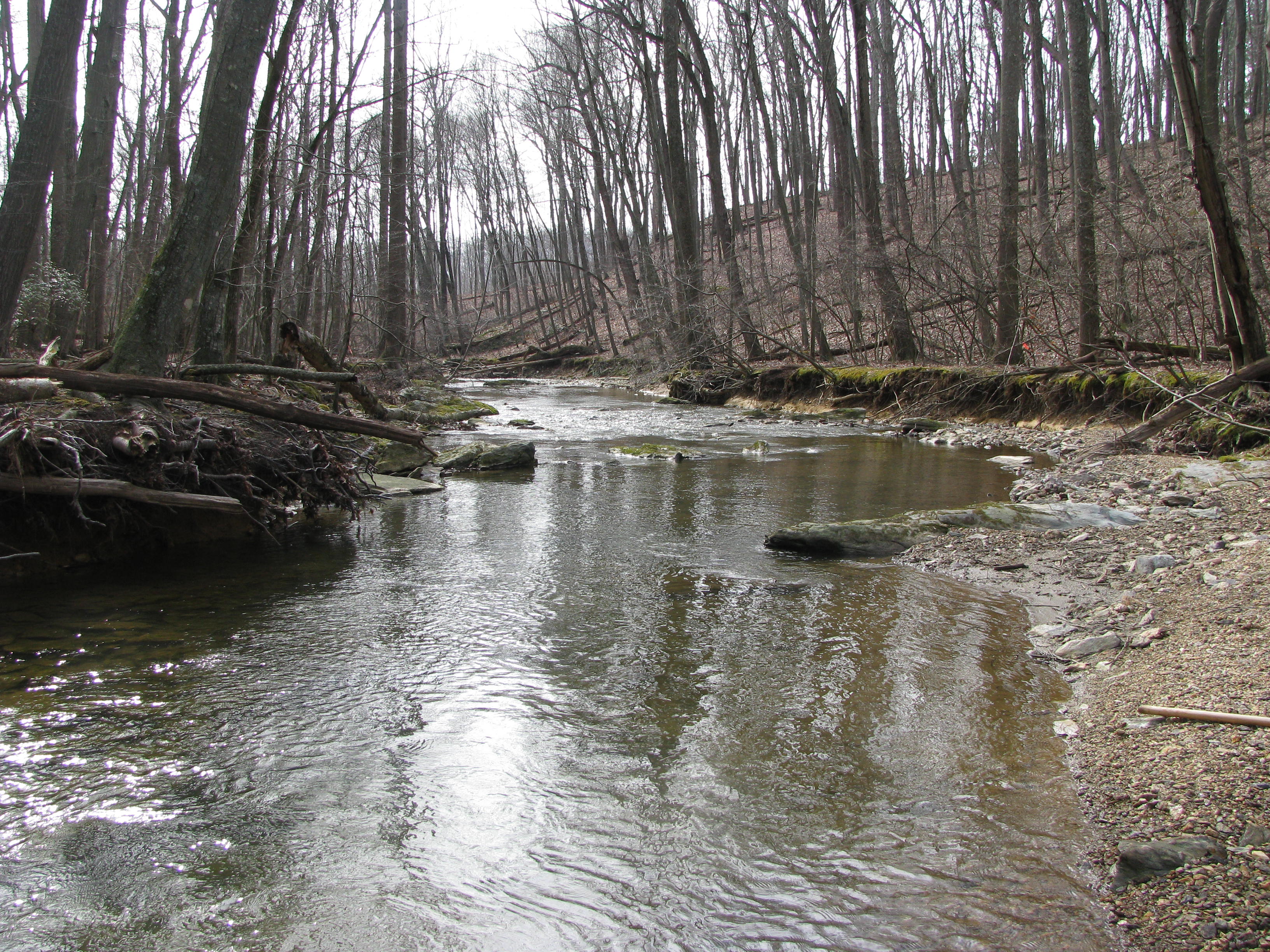 Field photo showing stream conditions at site LIBE-324-A-2012-2