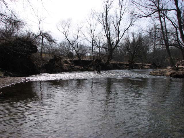 Field photo showing stream conditions at site LIBE-333-A-2013-2