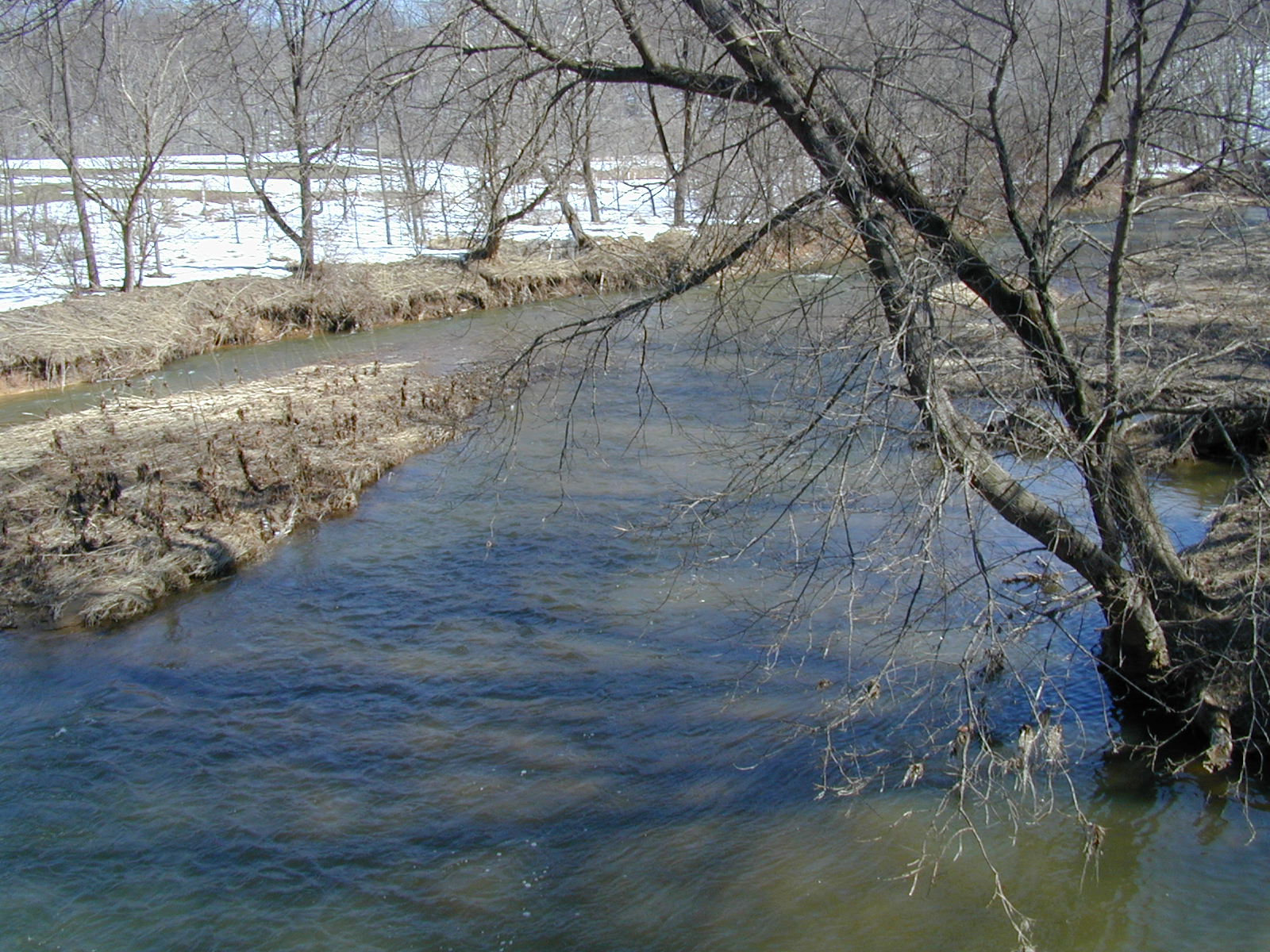 Field photo showing stream conditions at site LIBE-333-R-2003-677