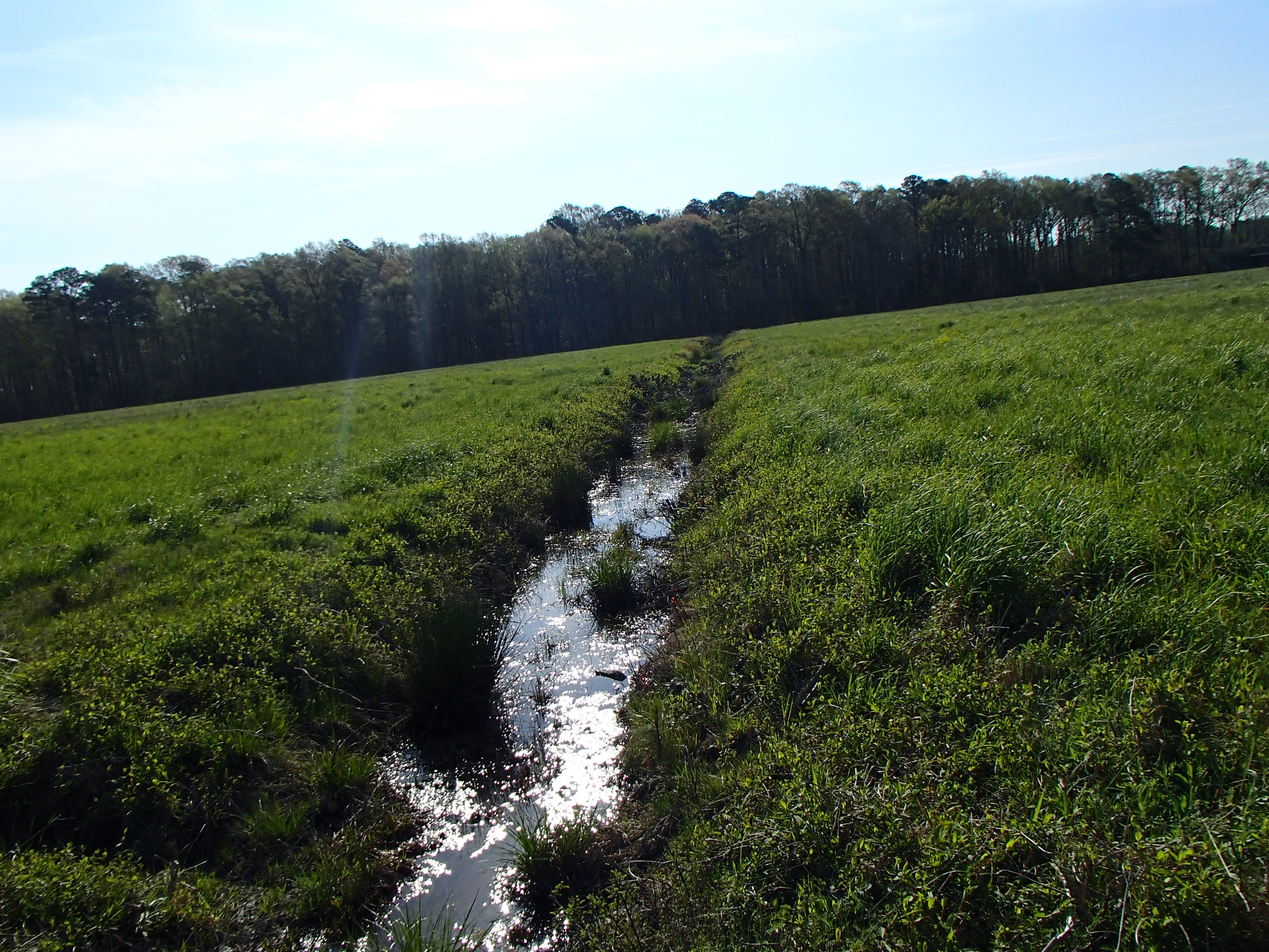 Field photo showing stream conditions at site LICK-121-R-2017-MidpointFacingUpstream