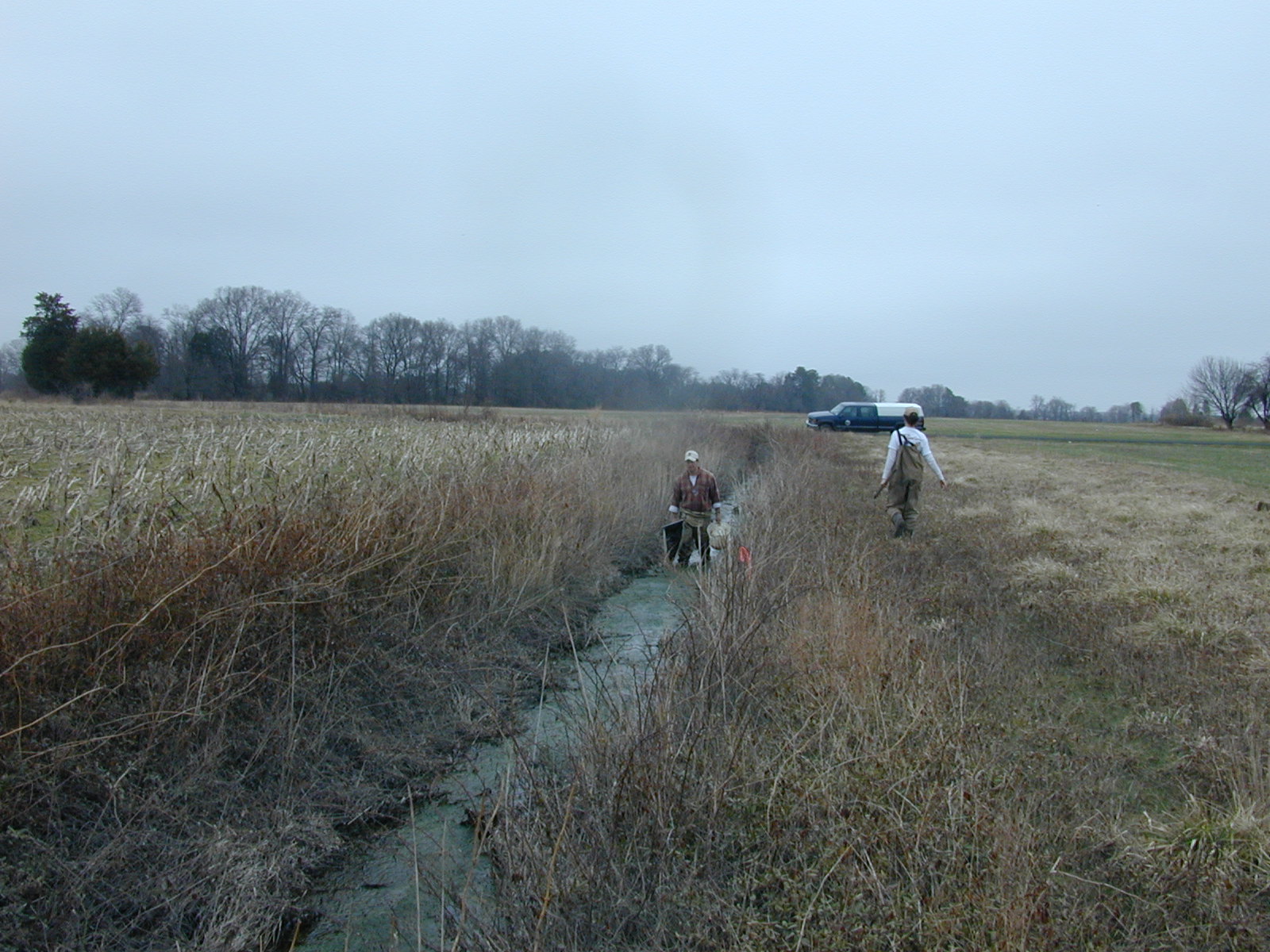 Field photo showing stream conditions at site LICK-125-R-2003-0870