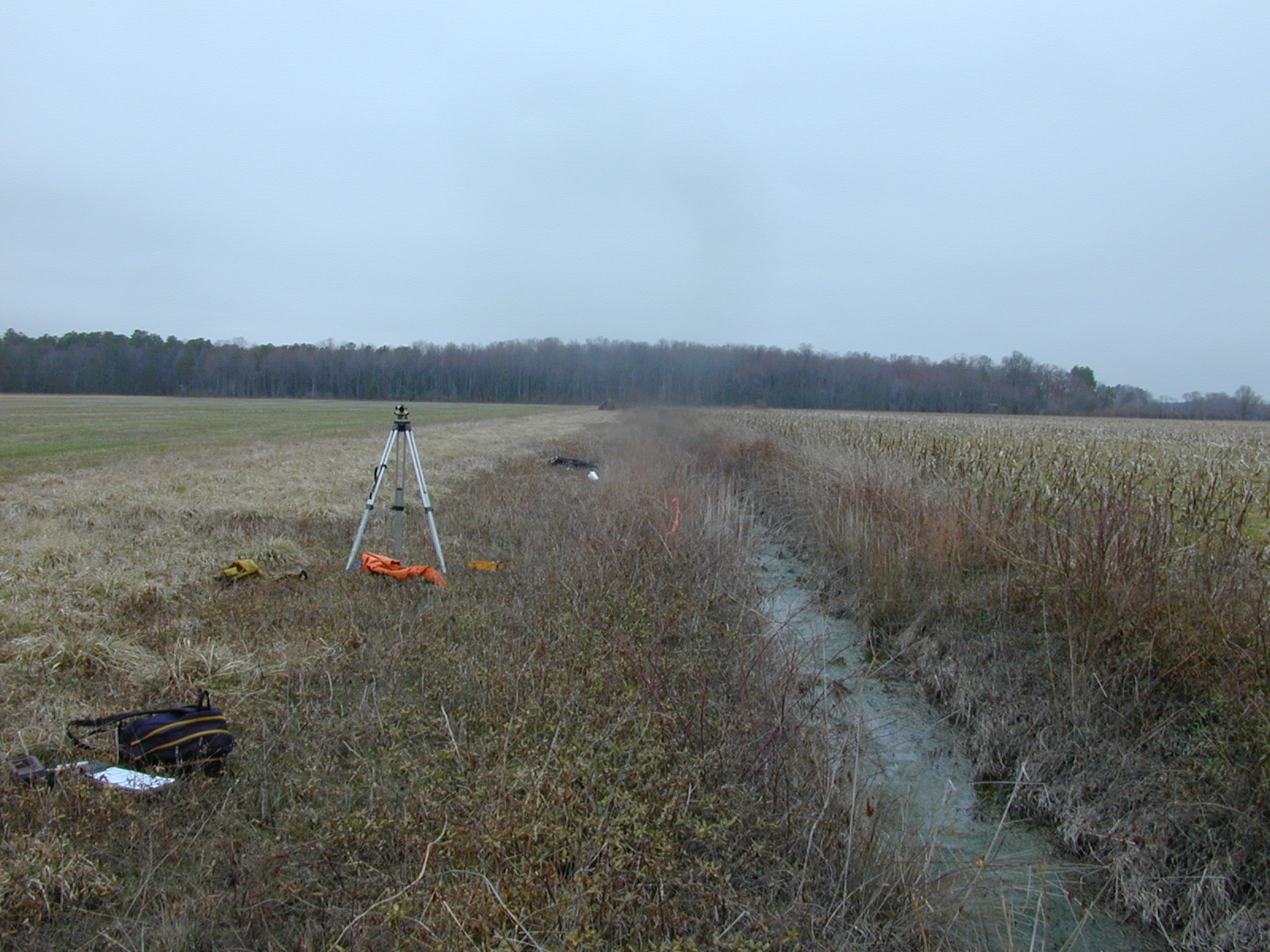 Field photo showing stream conditions at site LICK-125-R-2003-0871