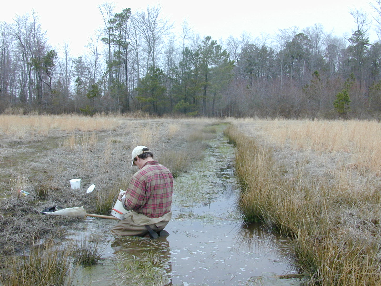 Field photo showing stream conditions at site LICK-127-R-2003-0874