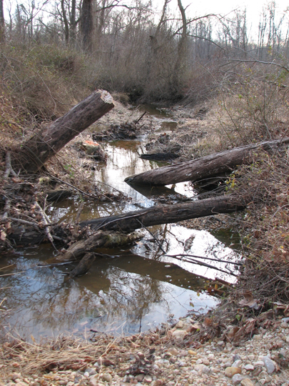 Field photo showing stream conditions at site LIEL-102-B-2008-1