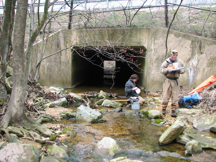 Field photo showing stream conditions at site LIEL-108-B-2008-1