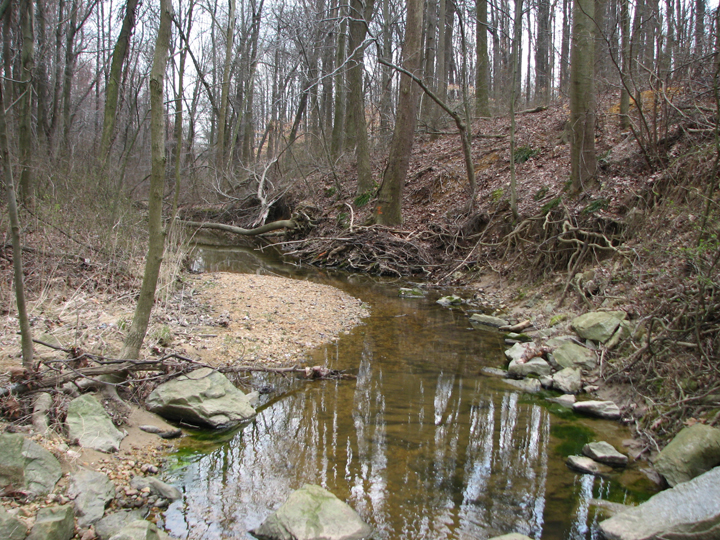 Field photo showing stream conditions at site LIEL-108-B-2008-2