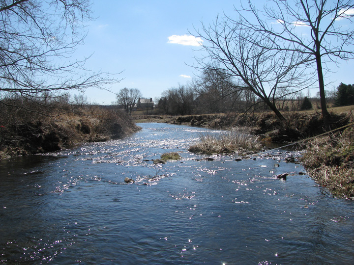 Field photo showing stream conditions at site LIEL-302-B-2009-1