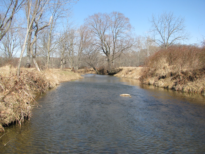 Field photo showing stream conditions at site LIEL-302-B-2009-2