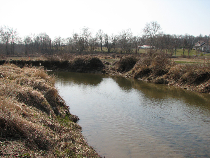 Field photo showing stream conditions at site LIEL-307-R-2008-1