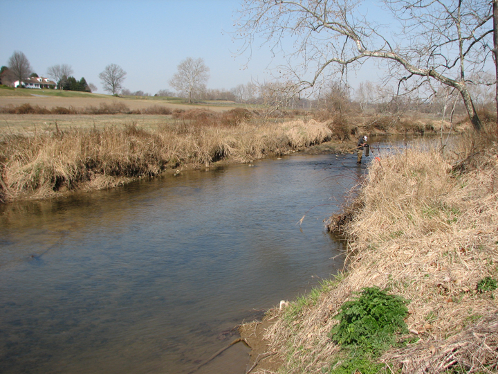Field photo showing stream conditions at site LIEL-307-R-2008-2
