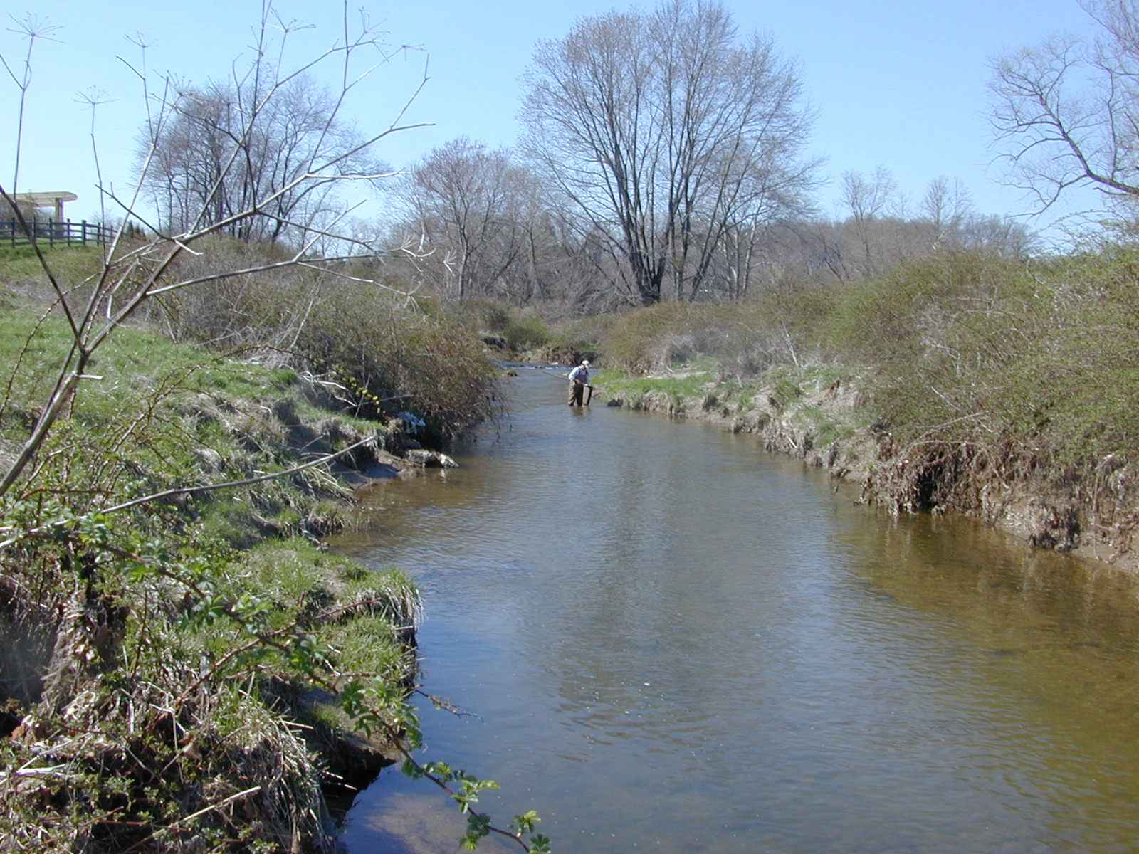 Field photo showing stream conditions at site LIEL-312-R-2003-1006