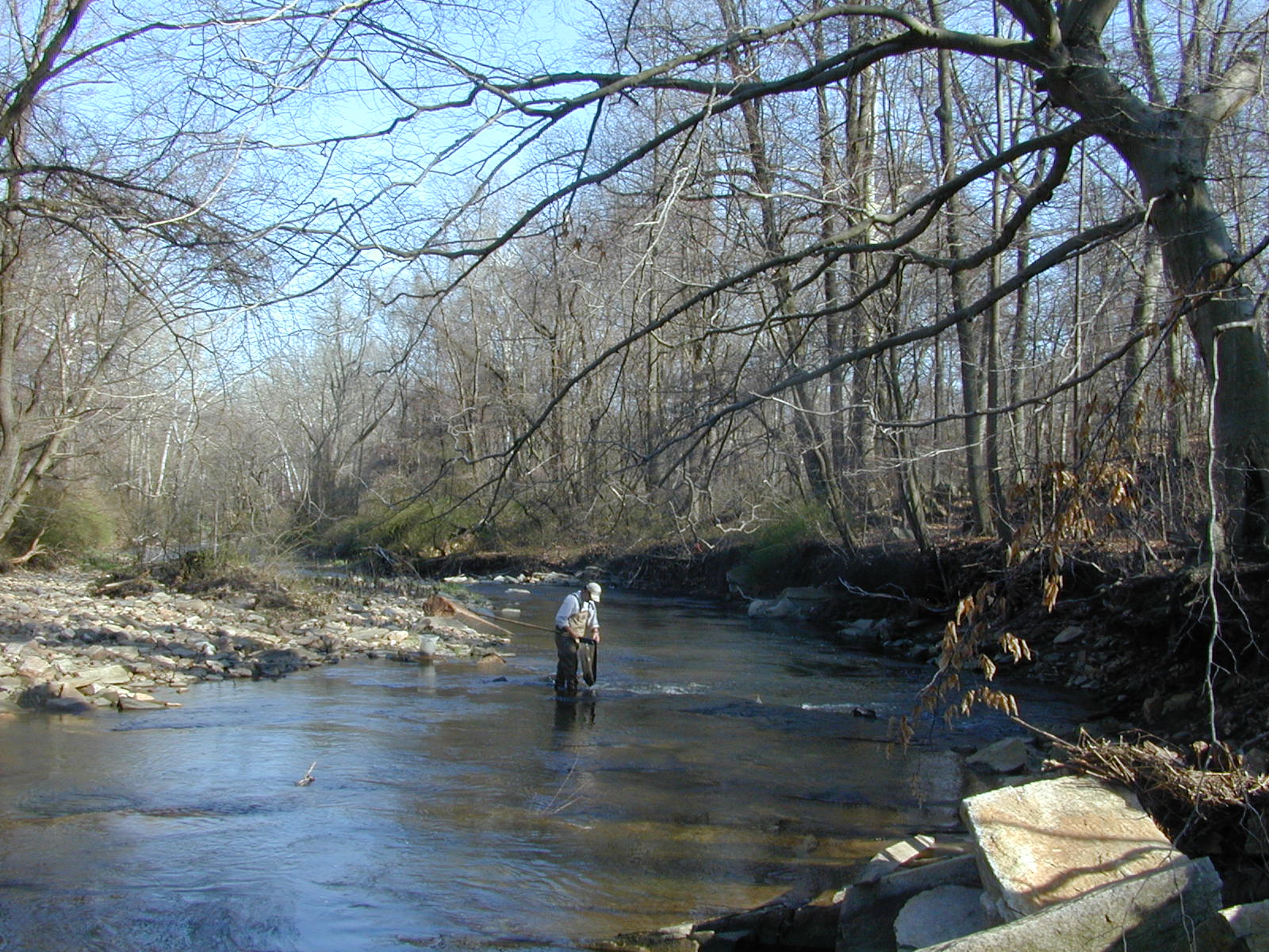 Field photo showing stream conditions at site LIEL-318-R-2003-1008